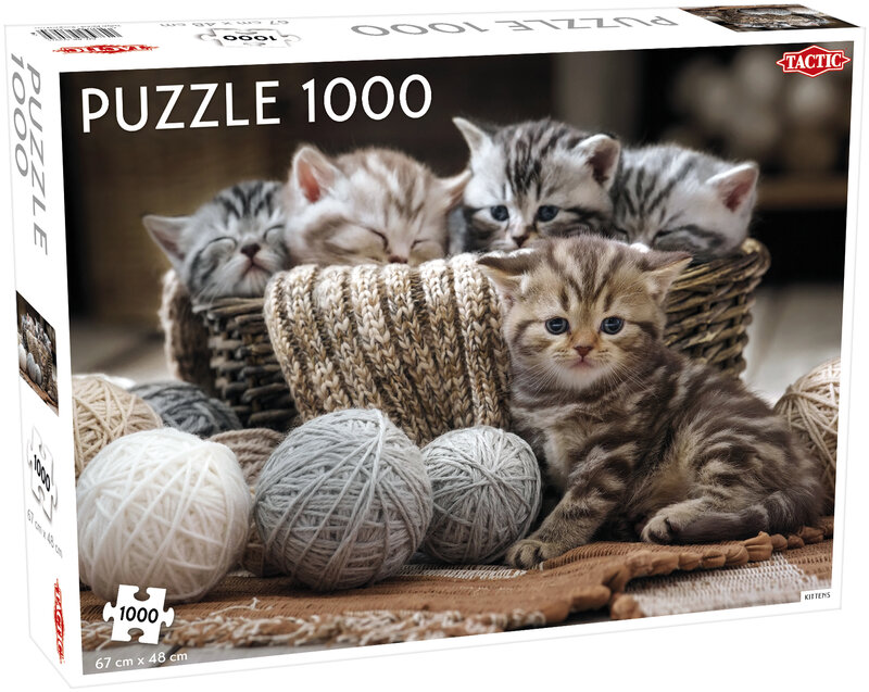 Djur: Kittens