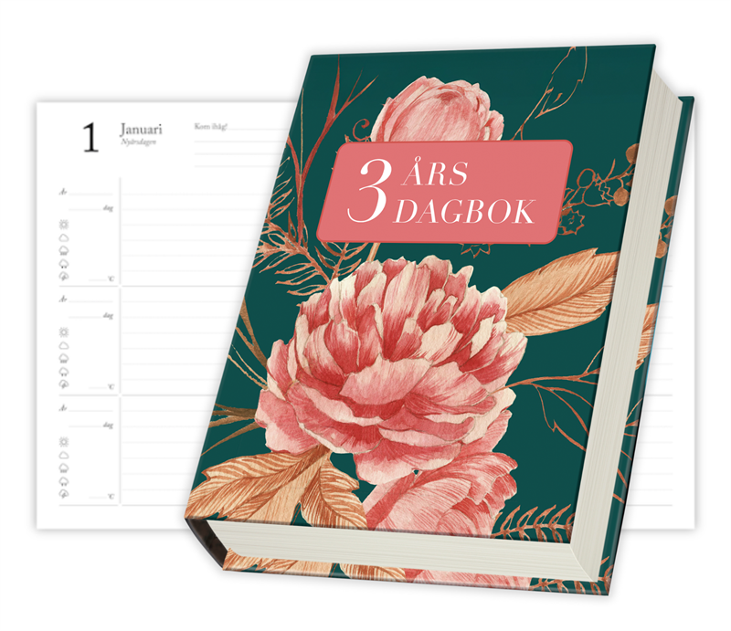 3 års dagbok