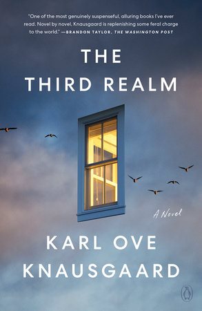 The Third Realm: A Novel