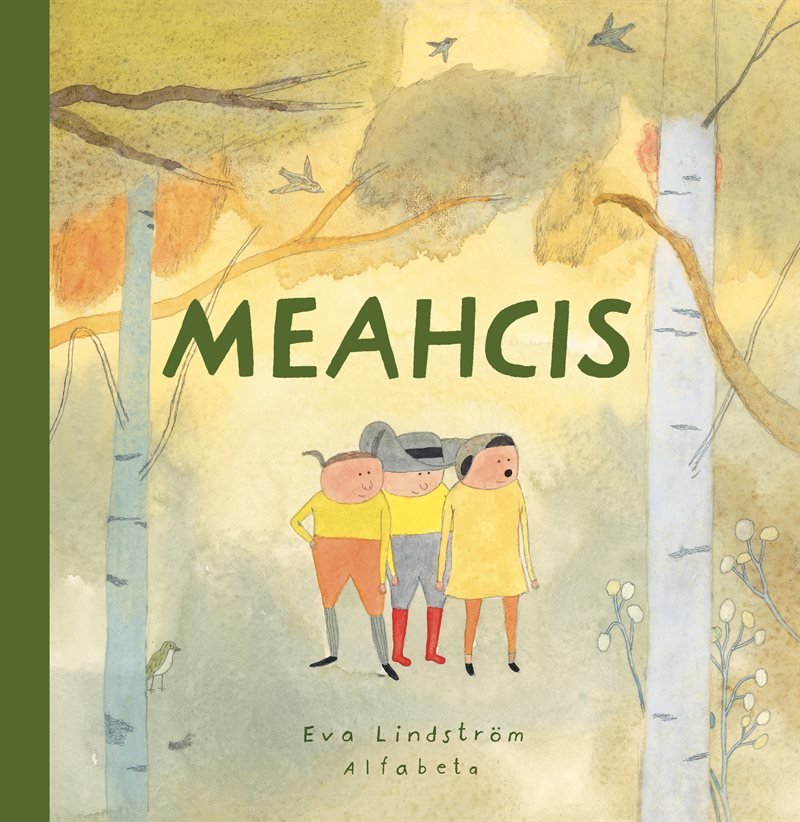 Meahcis