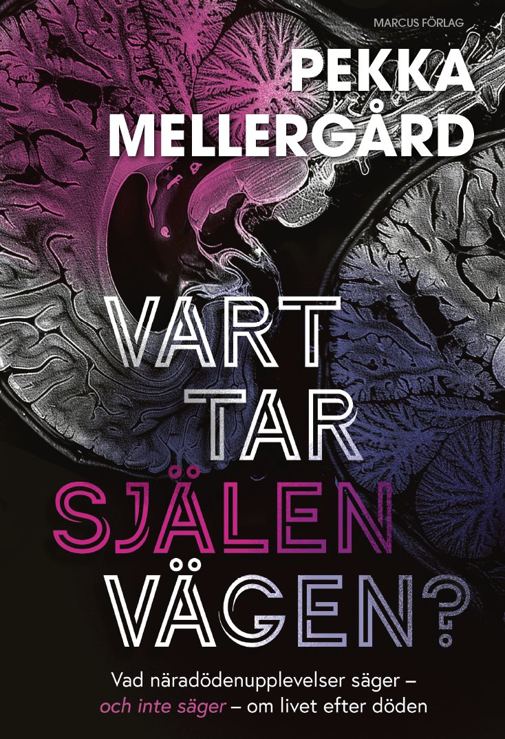 Vart tar själen vägen? : Vad näradödenupplevelser säger –  och inte säger – om livet efter döden
