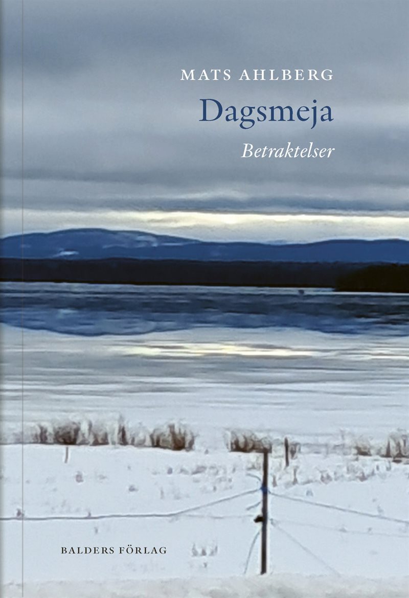 Dagsmeja