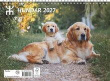Väggkalender - Hundar FSC